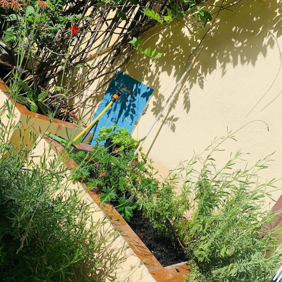 La Finestra Nel Giardino Hotel Napoli Exterior foto